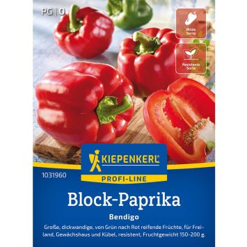 Blockpaprika 'Bendigo' F1