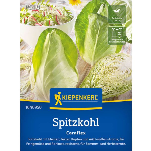 Kiepenkerl Samen Spitzkohl Caraflex (F1)