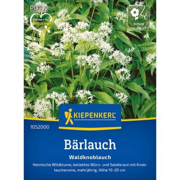 Kiepenkerl Bärlauch (Waldknoblauch)