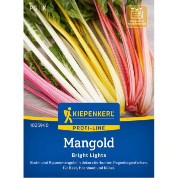 Mangold 'Bright Lights'