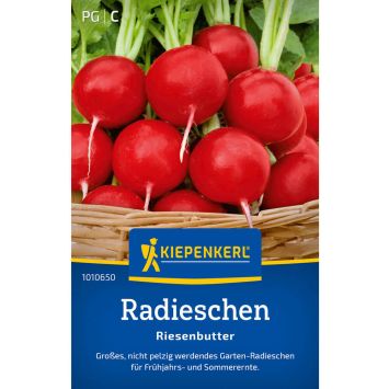 Radies 'Riesenbutter'