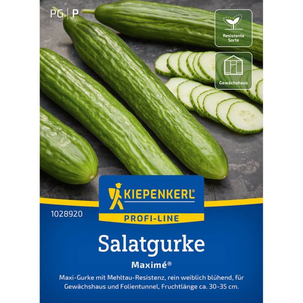 Kiepenkerl Samen Salatgurke Maximé® (Kaneco, F1)