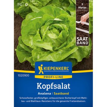 Saatband Kopfsalat Analena