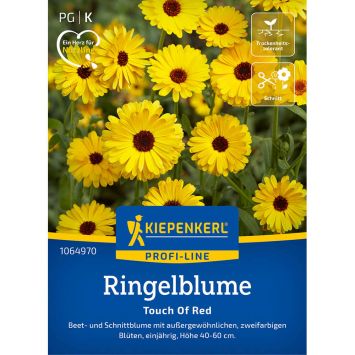 Kiepenkerl Samen Ringelblume Touch Of Red