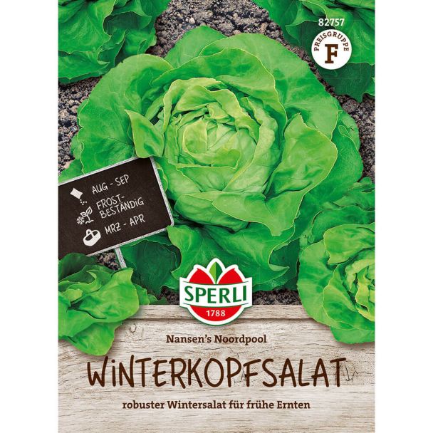 Winterkopfsalat Nansen's Noordpool