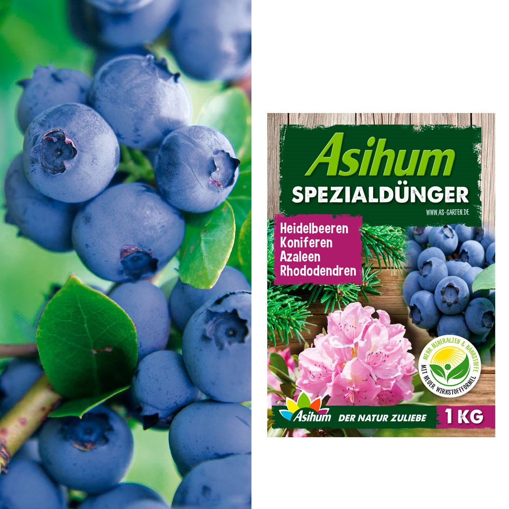 Obst - 1 Gartenbedarf Asihum Profi-Heidelbeeren Pflanzenversand + & Spezialdünger Heidelbeeren x \'Duke®\' | Ahrens+Sieberz kg | | 2