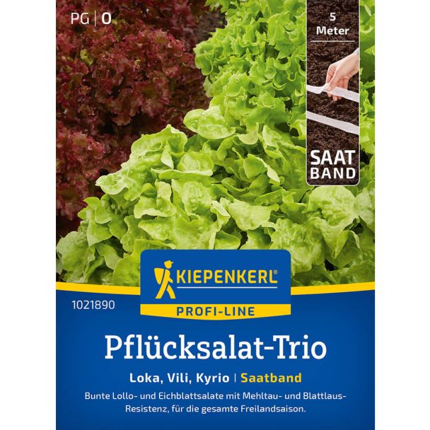 Saatband Pflücksalat-Trio