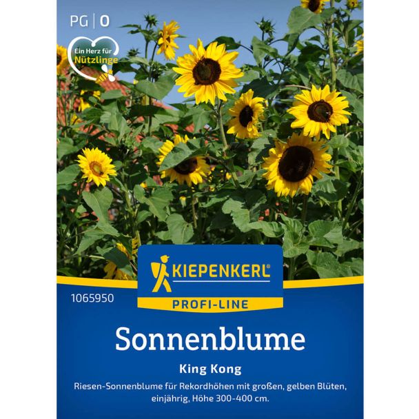 Riesen-Sonnenblumen 'King Kong'