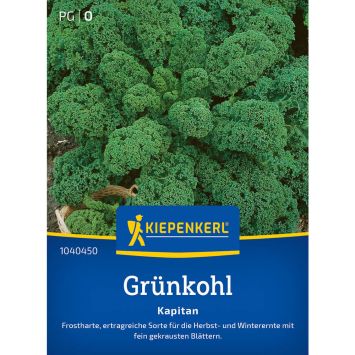 Grünkohl Kapitan F1