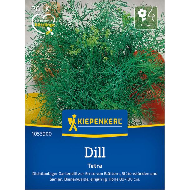 Dill 'Tetra-Dill'