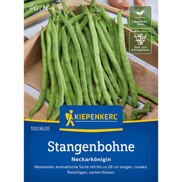 Stangenbohnen 'Neckarkönigin'