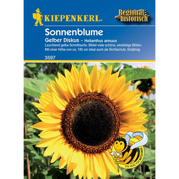 Sonnenblume 'Gelber Diskus'