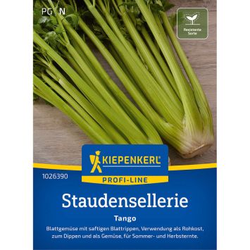 Staudensellerie Tango