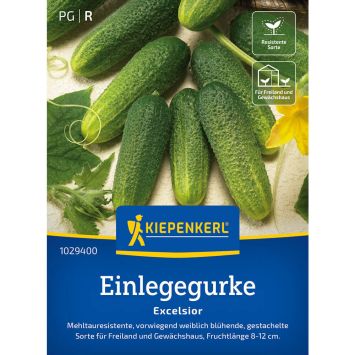 Einlege- / Essiggurke 'Excelsior' F1