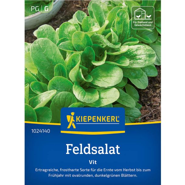 Feldsalat 'Vit'